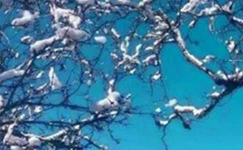 �茑�����ѩ����700�֣����x26ƪ��