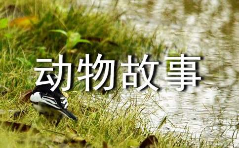 �������200������