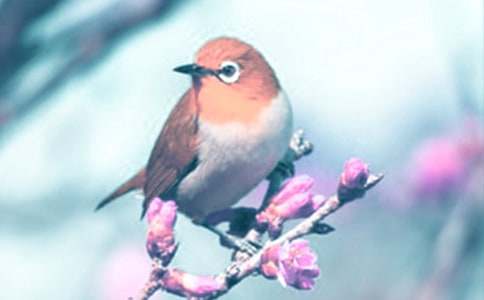 �^���ֲ���С����