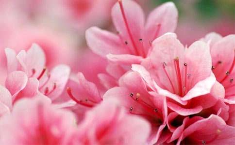 ���N�����ġ����A54ƪ��