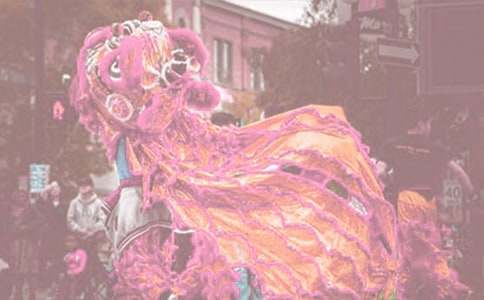 ��������������L��������