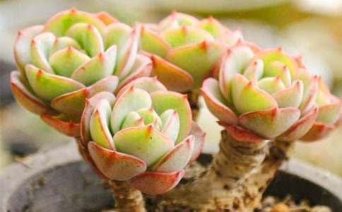 �����^����ӛ���ĺϼ���ƪ