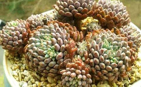 �����T���^���������3ƪ