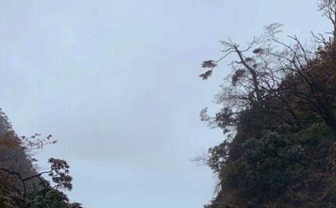 ��üɽ��ӛС�W����