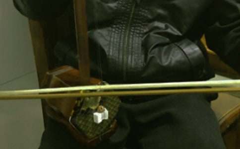 拉二胡的老人作文500字