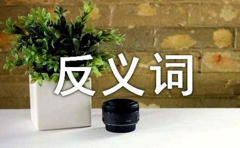 �~�Z�m���ķ��x�~��ʲô