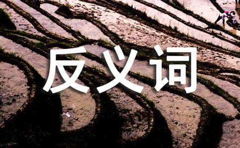 �����x�~�ĳ��Z���\