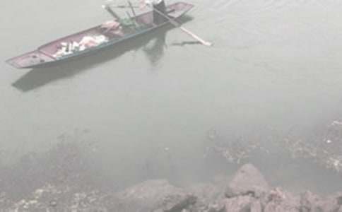 �ƺ���������