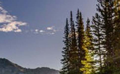 �������������L�����}���ģ����x19ƪ��