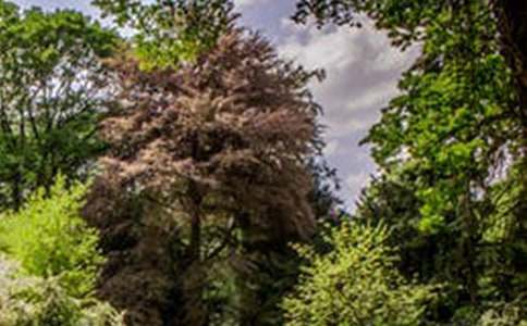 ���B��ʯ���L������