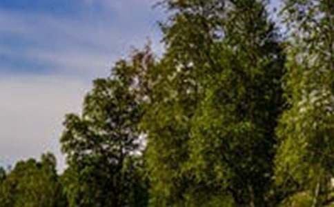 ɳ����L���^���ģ�ͨ��17ƪ��