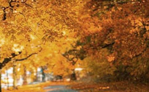 ��Щ�����Ե��L������500��