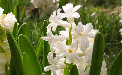 �������L��������9ƪ