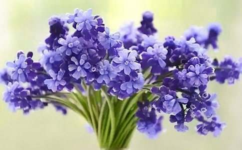 �Һ��L���ӳ�һ����