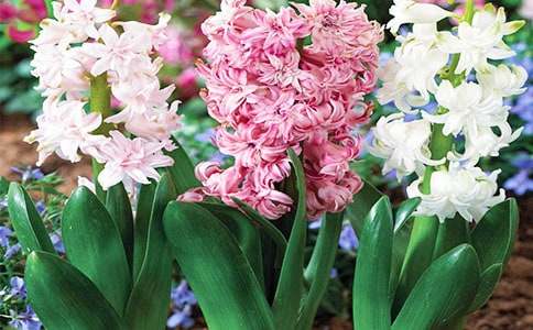 �Nһ���L�������ĵ�����