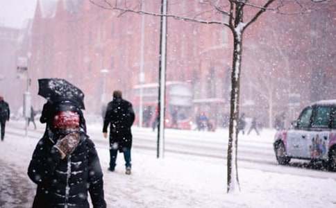 �Lѩ������300�֣����x36ƪ��