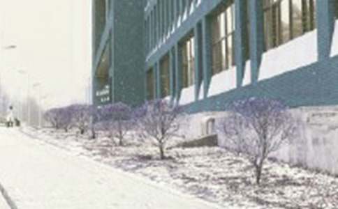 �@�����Lѩ����