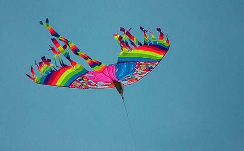 �����L�~,���H�Ǿ�����