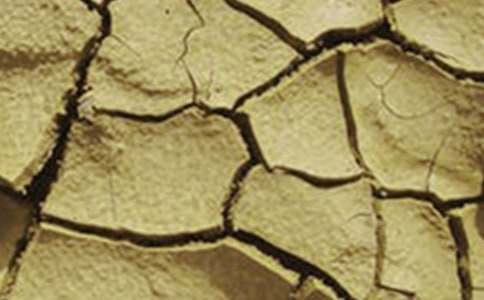 �����ֹ��Į���͸ɺ��գ����o�h�����h��