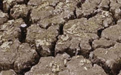  �����ֹ��Į���͸ɺ������ģ��ƴ���Ȼ���c��Ȼ���C��̎