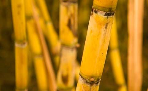 ����ϲ�g�Ը��������