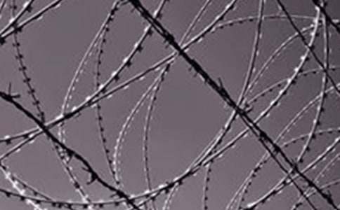 �����]������呟�����F�L������2ƪ