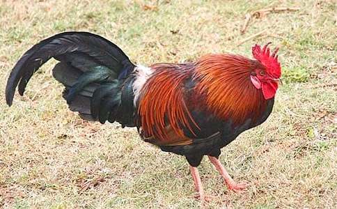 ͯԒ���¾��x�����Ĵ��u����ͨ��25ƪ��