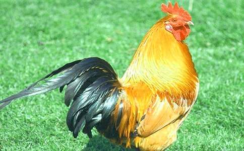 ���u�µ�����700��