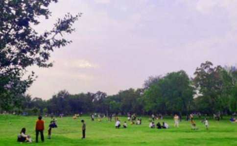 �ʳ���ɽ���@���ģ�ͨ��20ƪ��