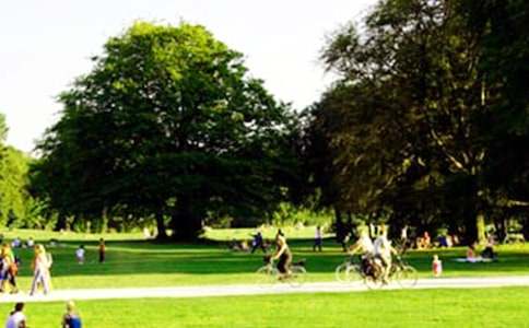 ���@��ӛ����