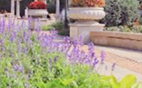 ���ٹ��@��ӛ����600�֣����x38ƪ��