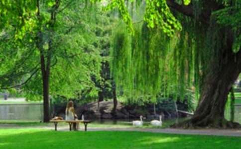 �乫�@������