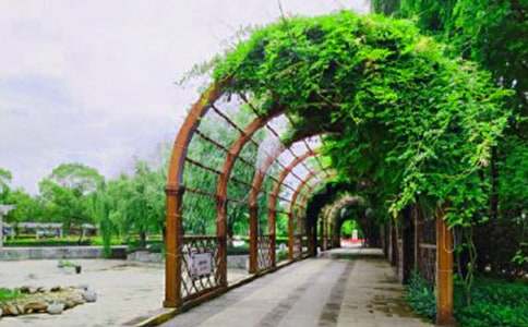 �乫�@������1200��