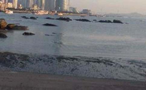 ���г�������800�֣��B�T���ˎZ