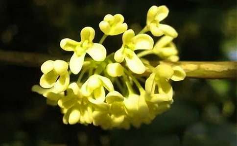 �Ҽҹ��h������500�֣����x24ƪ��