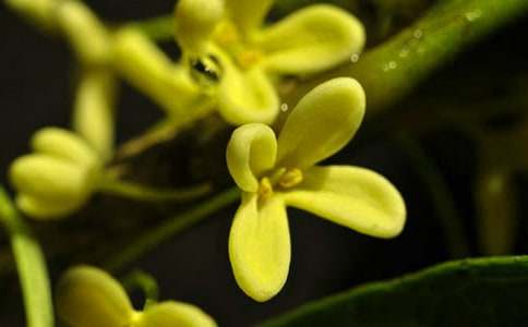 ��Ҋһ����_��һ����600�֣�ͨ��20ƪ��