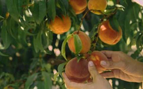 ����Ĺ��@��һ����