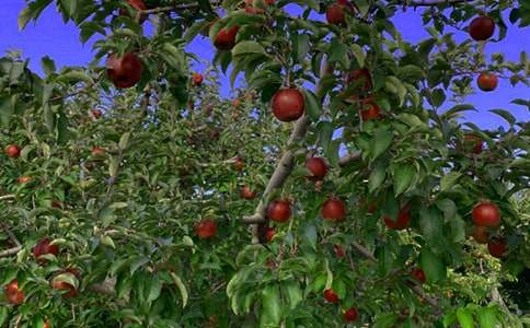 ����Ʒ�����@����600��4ƪ