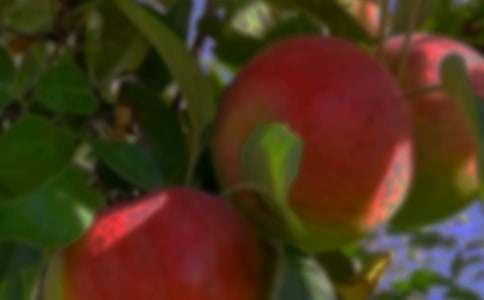 �����á����@����300��10ƪ