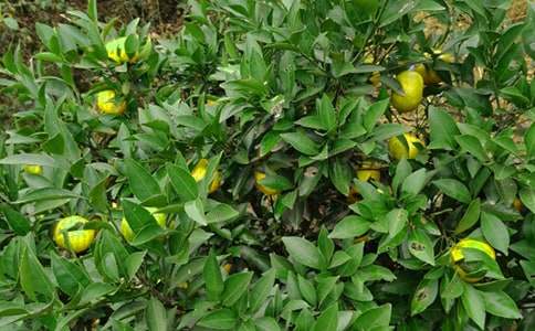 ���@����400�֣����x124ƪ��