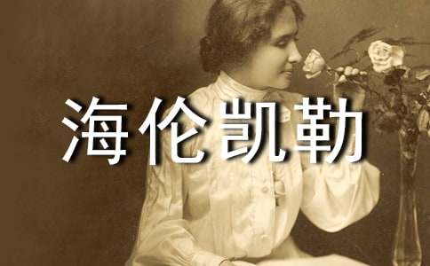 �w򞺣���P�յ�����С�W����600��