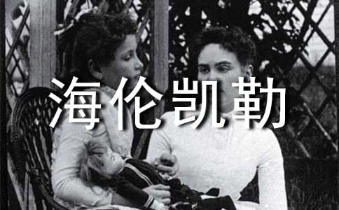 �����P�����댦���f600������