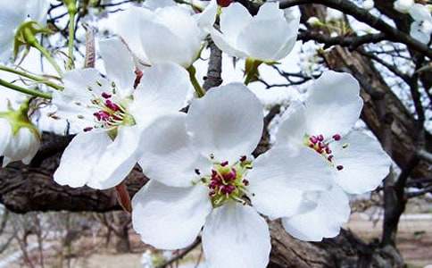 �����A����������500����ƪ