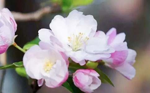 �Ґ��ļ���������2ƪ