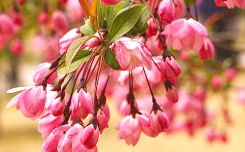 �������f��������