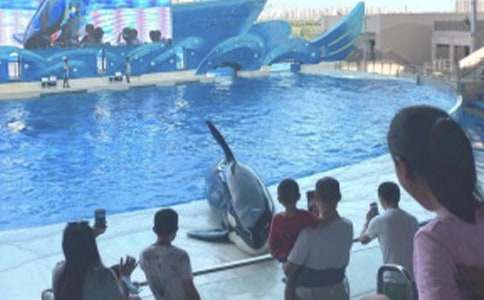 海洋公園游記作文600字