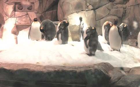 �δ��B���󹫈@����500�֣�ͨ��15ƪ��