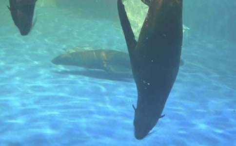 �O�غ��󹫈@����550��