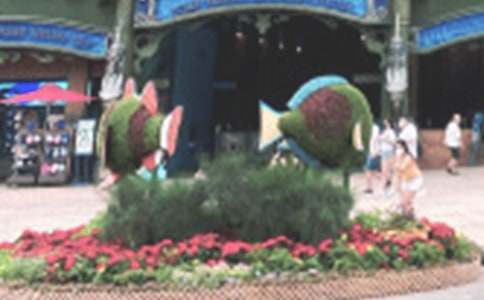 ��Ȥ�ĺ��󹫈@����