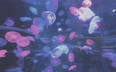 ���B���󹫈@����